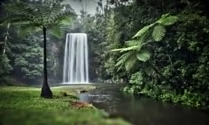 Full-day Tour at the Atherton Tablelands with Food Tasting