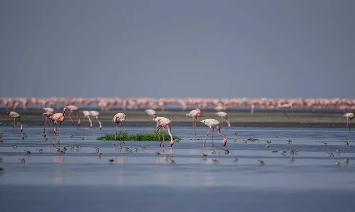 3-Day Safari Adventure to Mount Ol Doinyo Lengai and Lake Natron 