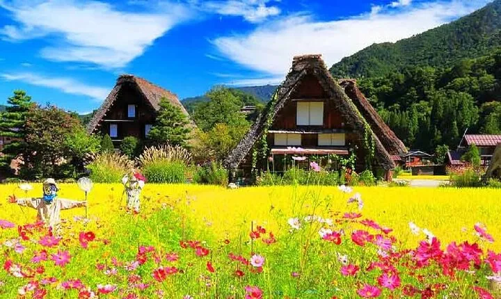 Tour to Hida Takayama and Shirakawa-go Gassho Village from Nagoya