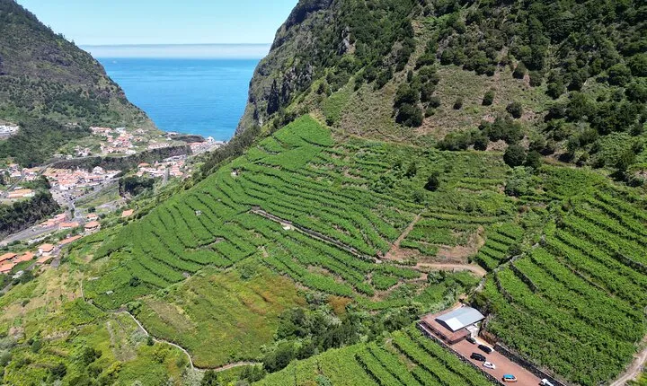 Wine taste, 4x4 Jeep Adventure and Cabo Girão Skywalk