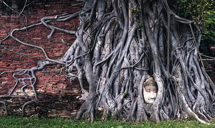 Ayutthaya Landmark Tour with Famous Temple & Floating Market