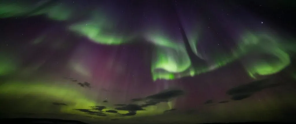 Ice floating in forest lake with northern lights