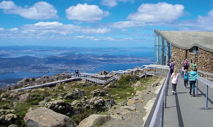 kunanyi/Mt Wellington Tour and MONA Admission