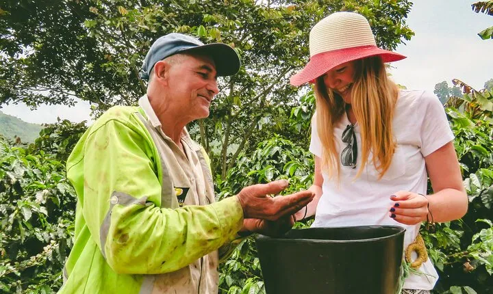 Private tour: Colombian Coffee Farm & Culture from Medellin - From crop to cup!