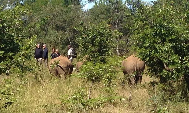 Walking Safari in Mosi-Oa-Tunya National Park from Livingstone