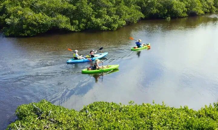 Kayaking the Canals of Venice, FL