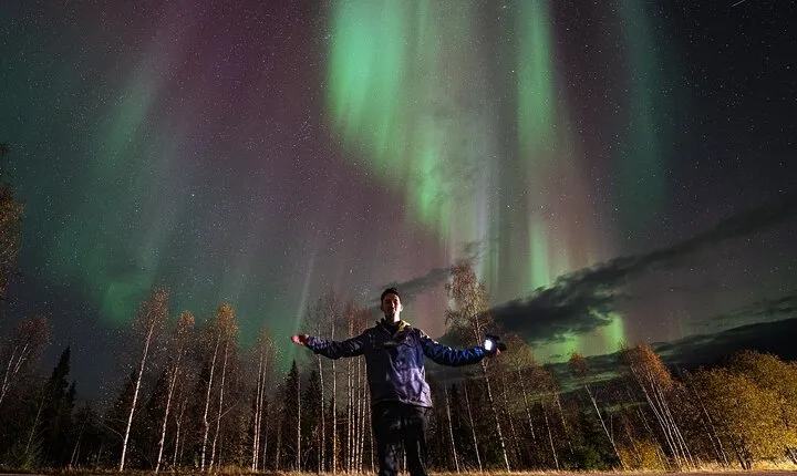 Rovaniemi Northern Lights Hunt With A Professional Photographer