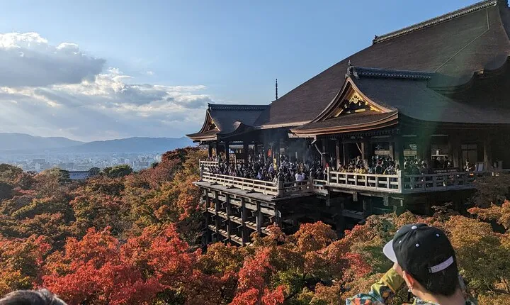 Tour in Kyoto with a Goverment Certified Tour Guide