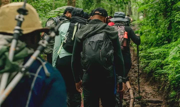 5 Days Mt. Kilimanjaro Exploration via Marangu Route