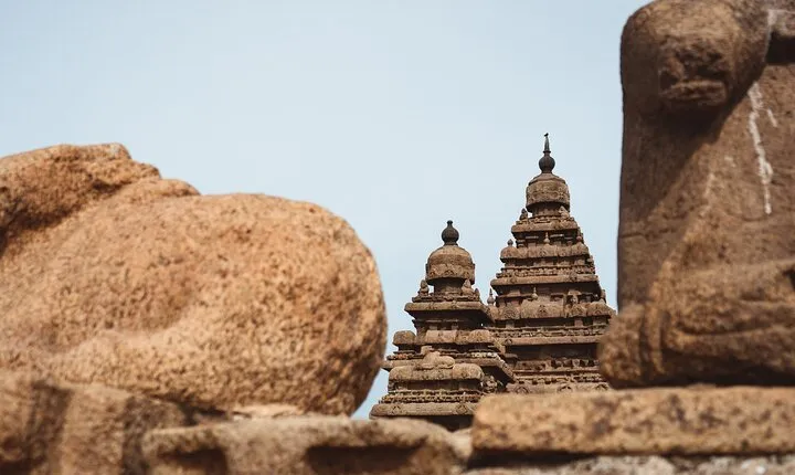 Mahabalipuram, Kanchipuram Day Tour with Guide, Lunch, Entrances 