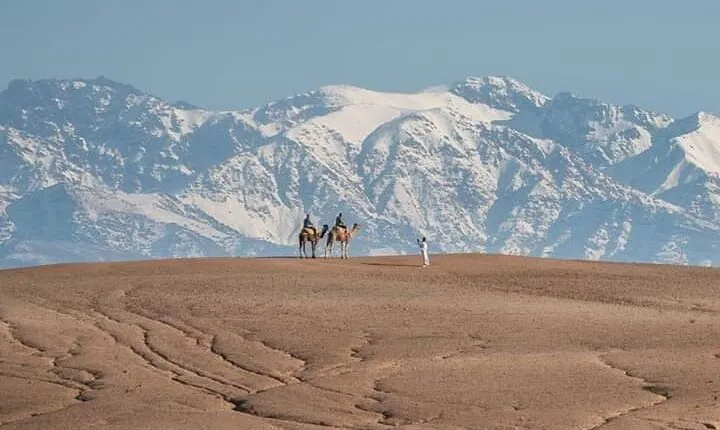 Marrakesh: High Atlas, Agafay desert and Waterfalls Tour