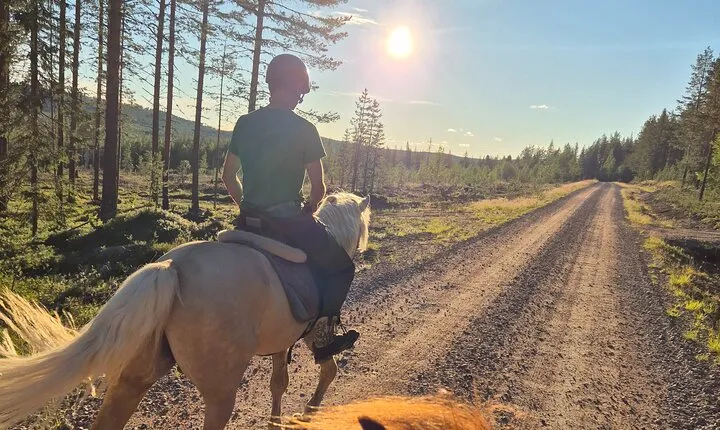 Horse Ride to the Hill Activity