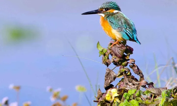 Best of Nepal Luxury Adventure Tour Package - 9 Days