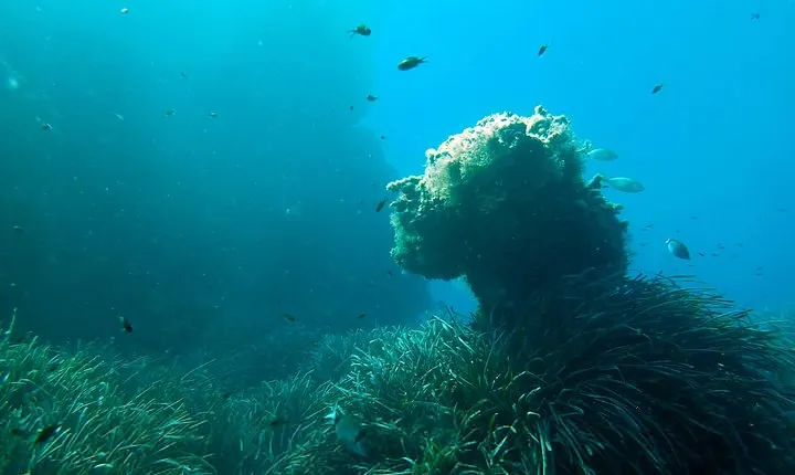 Baptism of diving from boat
