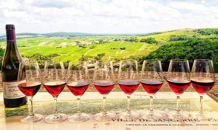 Private wine tour to Sancerre vineyards from Paris with Sommelier