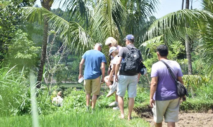 Tetebatu Walking Tour - Rice Terraces, Waterfall & Monkey Forest