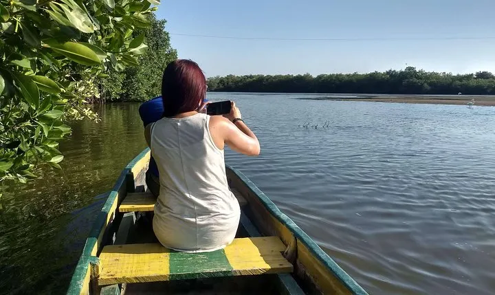 Mangrove Corralito