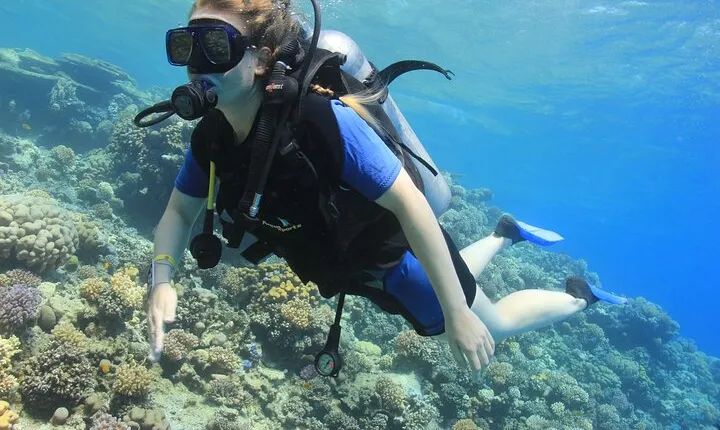 Tiran Island Full Day Snorkeling Sea Trip & intro dive 15 min - Sharm El Sheikh