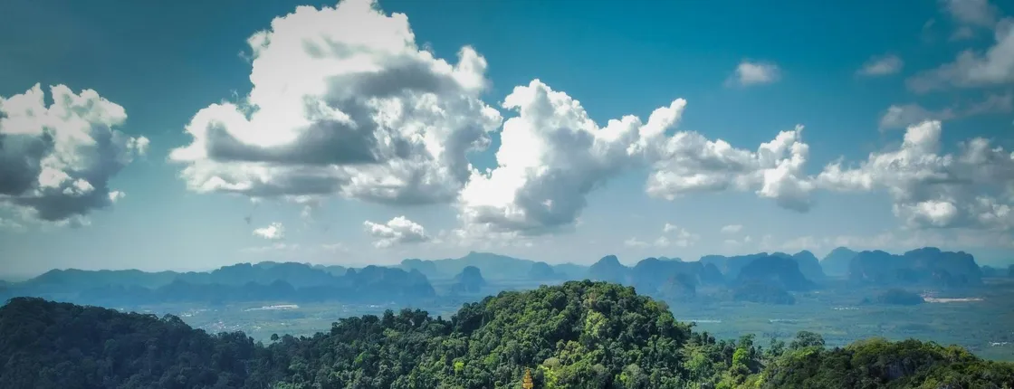 Jungle tour with Tiger Temple from Ko Lanta