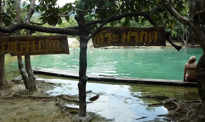 Thailand’s Last Lowland Rainforest – A Hidden Gem Tour