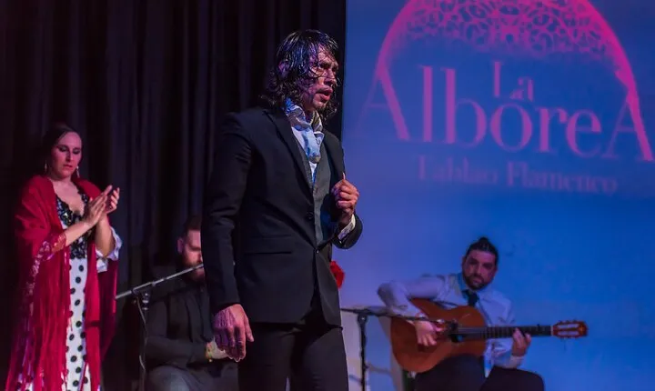 Flamenco Show in the Center of Granada