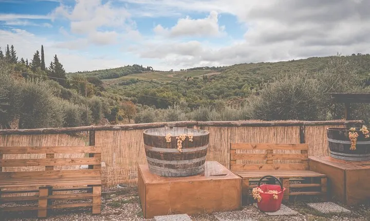 Afternoon of Grape Stomping and Wine Tasting in the Countryside