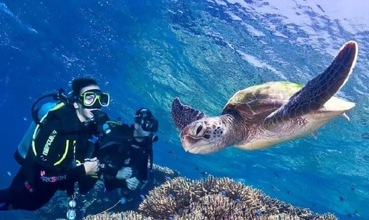 Super Daily Diving Tour with Lunch Experience – Sharm El Sheikh