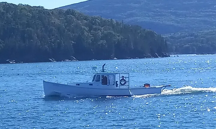 Private Sightseeing Charter in Frenchman Bay