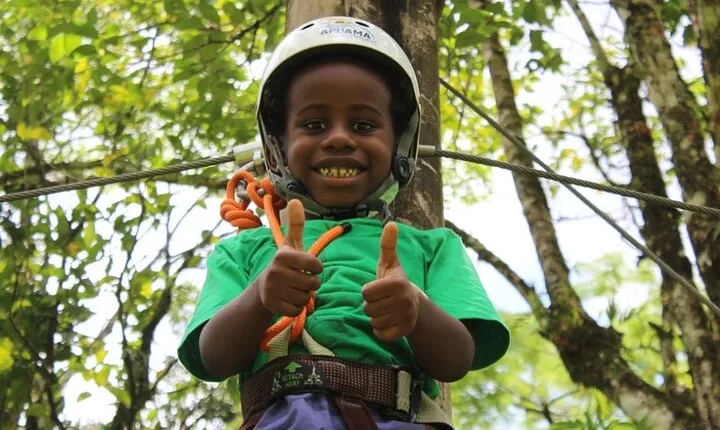 Tree climbing among the araucarias