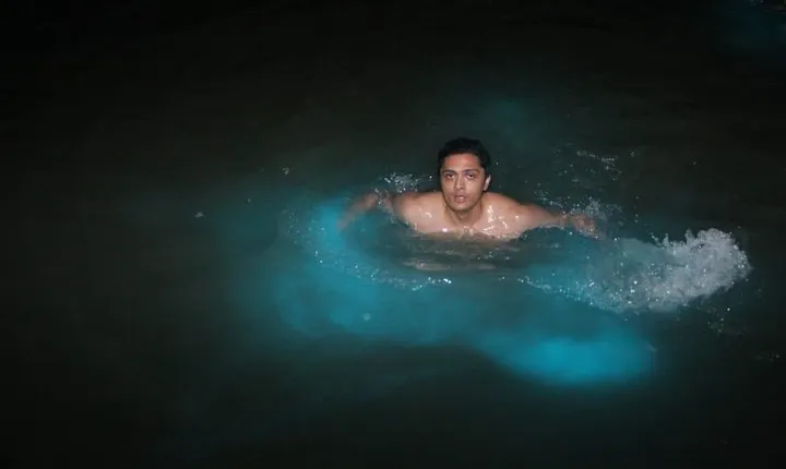 Luminous Lagoon Private Tour