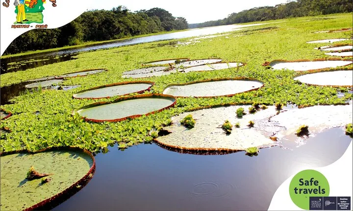 4 Day Wildlife and Camping to Pacaya Samiria National Reseve