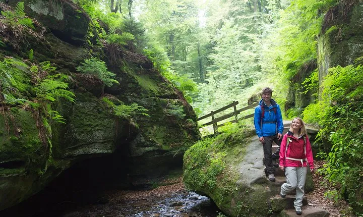 Luxembourg: Nature & Castle Day Trip
