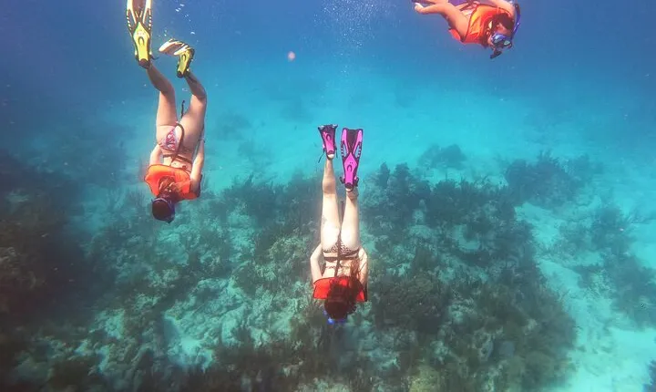 Key Largo Two Reef Snorkel Tour - All Snorkel Equipment Included!