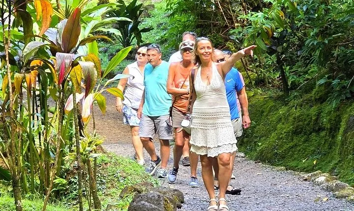 Private Tahiti Circle Island - Waterfalls, Black Sand & Views
