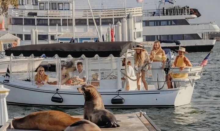 Private Luxury E-Boat Cruise with Wine, Charcuterie & Sea Lions Spotting