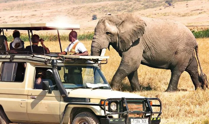 6-Day Tanzania Northern Circuit Camping Safari
