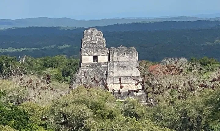 Mayan Adventure: Tikal in a Day