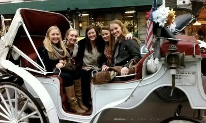 Central Park Private Horse and Carriage Tour