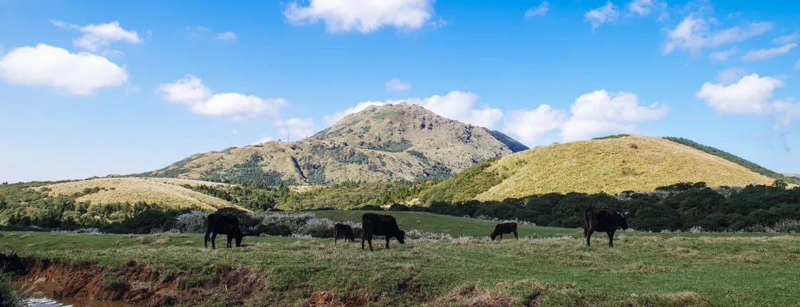 Yangmingshan and Beitou full-day tour from Taipei