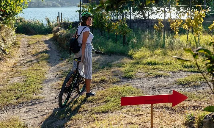 Naples Scenic pedal assisted Ride to a Local Vineyard with Meal