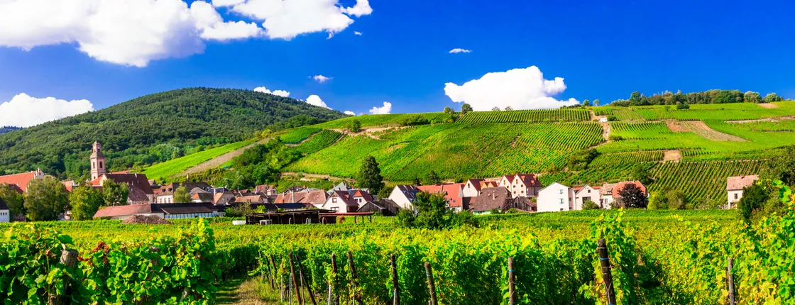 Alsace villages half day trip from Strasbourg