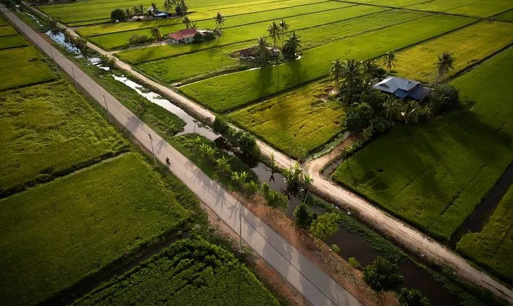 From Kuala Lumpur:Kuala Selangor Countryside Signature