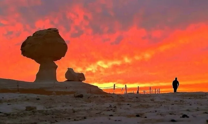 2-Day, 1-Night Camping Tour in White Desert with Cairo Pick Up