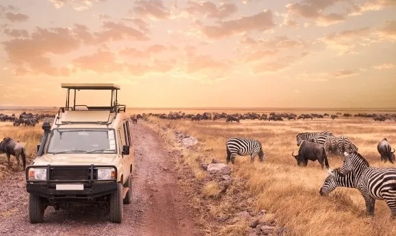 7 Days Best of Tanzania Safari