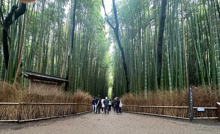 Kyoto Private Customizable Day Trip With English chauffeur