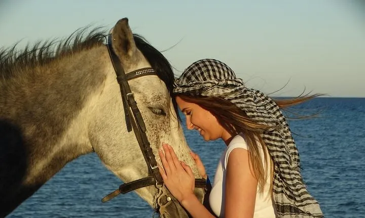 Explore Sea & Desert- 2 Hour Hurghada Horseback Journey