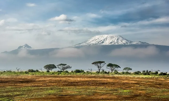 Private Kilimanjaro Day Trip from Moshi.