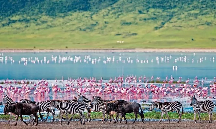 2-Day Hell's Gate, Crescent Island and Nakuru - Private Safari