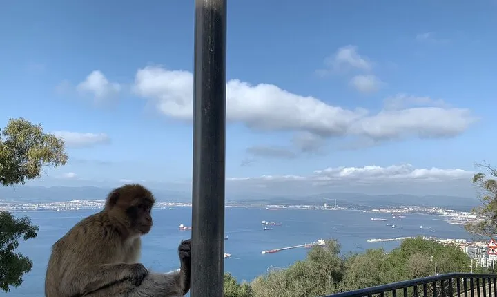 Guided Tour of Gibraltar from the Costa del Sol