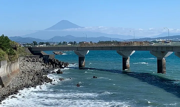 Guided Hybrid Bike Tour in Shizuoka City (Note: not e-bikes)